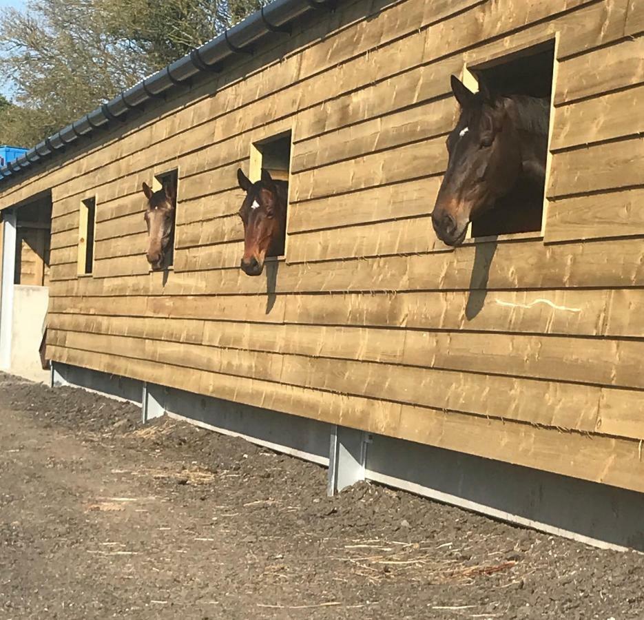 Spring Hill Cottages Towcester Exteriér fotografie